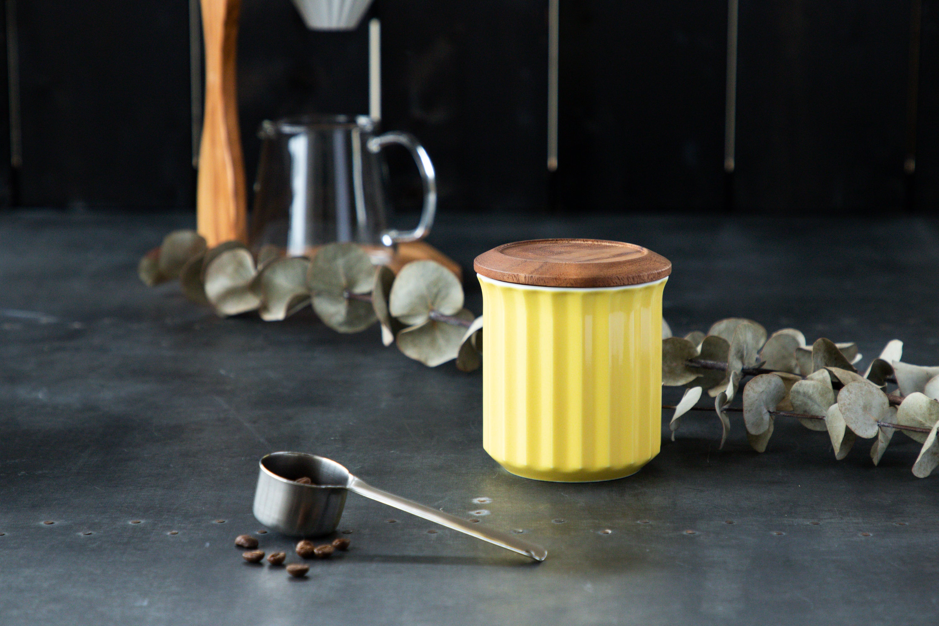 Boîtes de conservation 250g